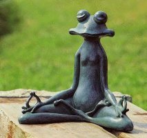 Сотни индийцев присутствуют на свадьбе двух лягушек