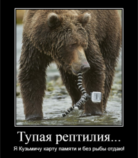 Парень прикрепил GoPro к черепахе и получил невероятные кадры