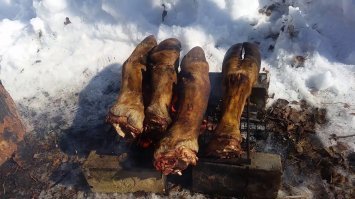 Инстаграм заполонили одинаковые фотографии