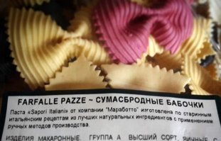 Пестрый мир бабочек