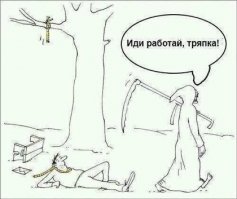 Прикольные и смешные картинки