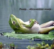 Роскомнадзор показал, как можно ругаться в сети