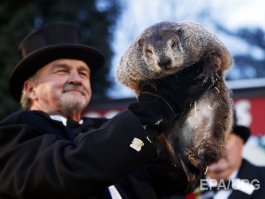 Нифига себе в Канаде и Америке ежи !!! ))