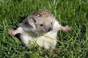 Вот таки дела, ребята.