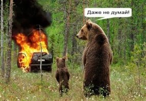 «Еду такой, еду…» — видео мощного взрыва автомобиля в Одинцово