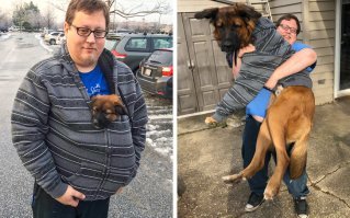 Выросли вместе: собаки и их хозяева в начале дружбы и через много лет