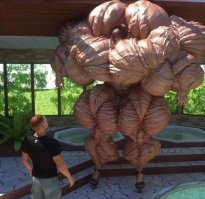 Бодибилдеры-новички из Петрозаводска стали настоящими звездами вечера