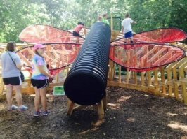 Пестрый мир бабочек