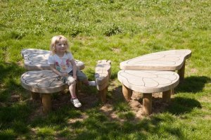 Пестрый мир бабочек