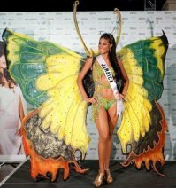 Пестрый мир бабочек