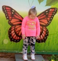 Пестрый мир бабочек