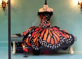 Пестрый мир бабочек