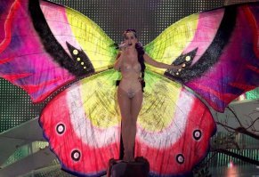 Пестрый мир бабочек