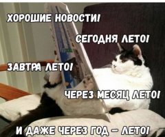 А теперь о наболевшем: вот и лето пришло