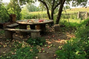 Я , прямо, чувствую этот запах - нагретых на солнце яблочек (коричневка, грушовка) Эх, на денек бы в детство, в лето, в деревню...