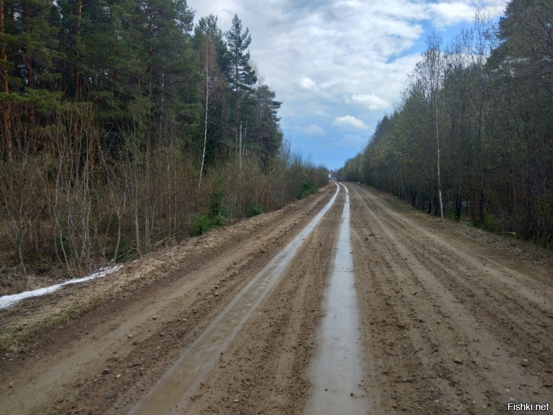 Фото весной этого года. Ярославская,Костромская области.