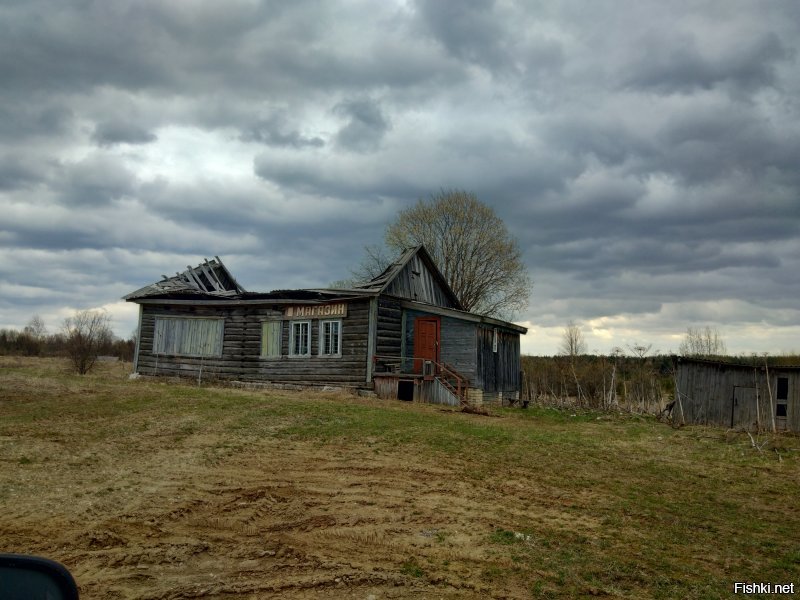 Фото весной этого года. Ярославская,Костромская области.