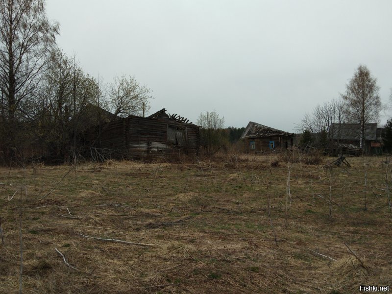Фото весной этого года. Ярославская,Костромская области.