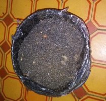 Картинки с надписями