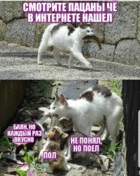 Суббота - день боянов.

.