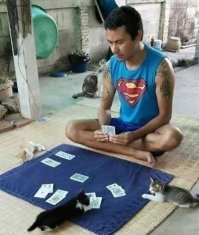 - Только ты сам раздавай, а то у нас лапки.