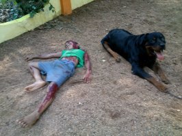 Не все так однозначно... У каждой медали имеются две стороны. Есть те, кто оказался по ту сторону этой медали...