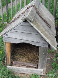 Новейшее миниатюрное жилище создано дизайнерами из экоматериалов для жизни на лоне природы и включает в себя все необходимое для жизни: мягкую подстилку из соломы и роскошную естественную вентиляцию. Для поклонников БДСМ также прилагается цепь и ошейник. Спешите купить всего за 999999 долларов 99 центов!