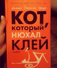 Постов с котиками у меня и без твоего совета пруд пруди (кстати, довольно полупярные на Рунете).
А этот пост (и его "собрат") не для лайков, а для души.

.