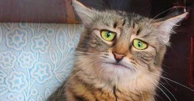 Согласен! Конфуций не любил фоткаться.... И инстаграмма у него не было