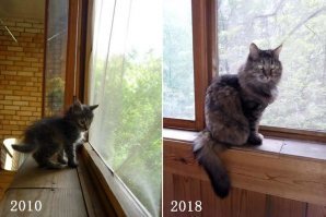 народ! приютите...не пожалеете!..вот моя "москвичка с помойки"..
похожи же!)))