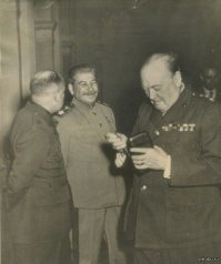 Ага,точно,сотовый.Они же всегда были.Вот помню еще Сталин смеялся над устаревшим смартфоном Черчилля.