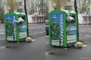 Книжный червь