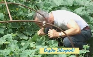 ну вы поняли....