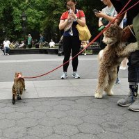 Утренняя порция фотографий со всего мира
