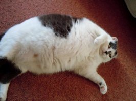 После проверки на качество!