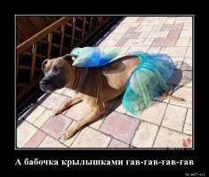 Картинки не для всех