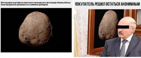 Прикольные и смешные картинки