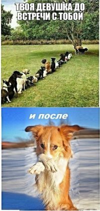 О чем говорят женщины: 25+ откровений, которые помогут лучше понять прекрасный пол