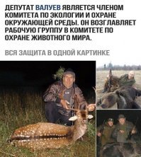 Редкое хамло. В свое время избил старика - паковщика, за то что тот сделал ему замечание о неправильной парковке. А его скандальные высказывания лишний раз подтверждают, что у него голова только для того, чтобы жрать  в три горла, за нехилую депутатскую зарплату.