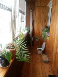 Вечерний «детопад»: почему из окон все чаще выпадают дети?