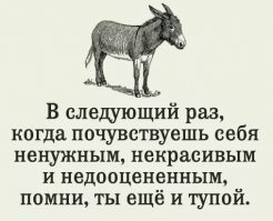 30 жизненных комментариев с просторов сети