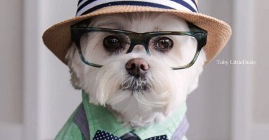 Юмор из Twitter