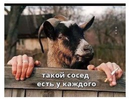 Как убить соседа?