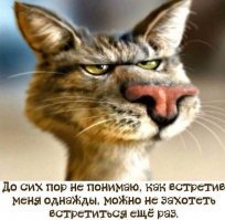 Народная примета: прыщ на носу