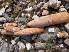 У нас в полиции давно уже предупредили, пока кучу не соберем не беспокоить.