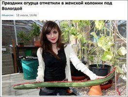 Разговаривают две соседки-дачницы. Одна:
Слушай,как так - у меня розовых помидор нет, а у тебя все красные. Как у тебя так получается?
А я захожу в теплицу, снимаю лифтчик, они со стыда краснеют.
Вот как, надо попробовать!
Через некоторое время встречаются:
Ну как у тебя помидоры?
Помидоры по-прежнему, но огурцы попёрли!