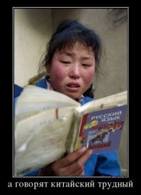 Кошачьи демотиваторы