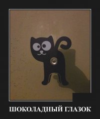 Кошачьи демотиваторы