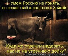 Хотела на море, а привезли на дачу: 16 обворожительных работниц, чьи грядки вспаханы