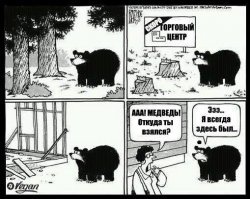Немного не так, это как раз люди пришли туда, где жили медведи, так что, медведь просто пришел домой )